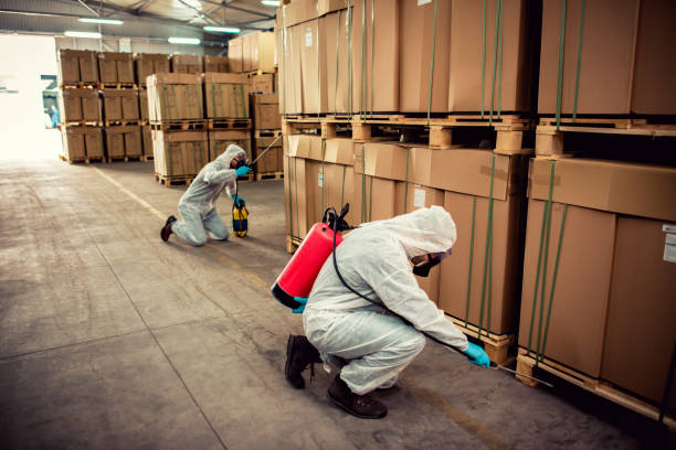 Best Affordable Pest Control Services  in Bellefontaine Neighbors, MO
