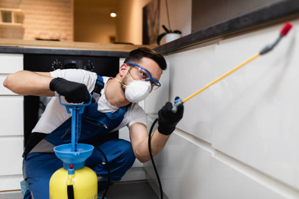 Best Affordable Pest Control Services  in Bellefontaine Neighbors, MO