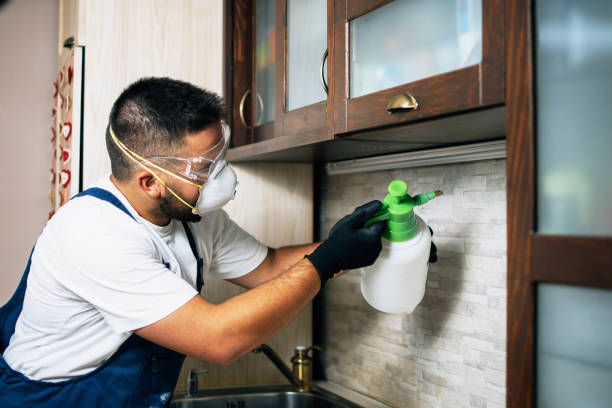 Best Affordable Pest Control Services  in Bellefontaine Neighbors, MO