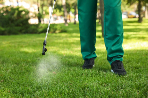 Best Wildlife Control Services  in Bellefontaine Neighbors, MO