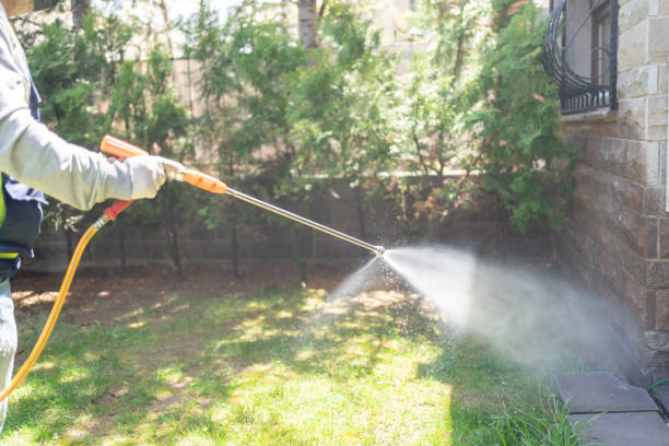 Best Local Pest Control Services  in Bellefontaine Neighbors, MO