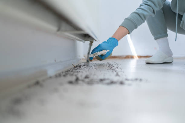 Best Mosquito Control Services  in Bellefontaine Neighbors, MO